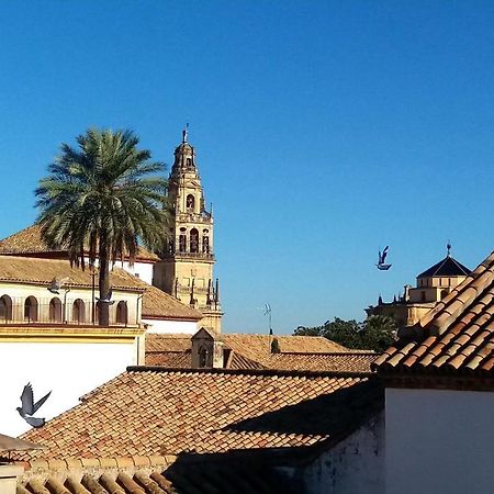 Ferienwohnung La Mirada De La Juderia Córdoba Exterior foto